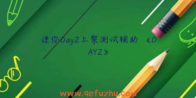 迷你DayZ上架测试辅助